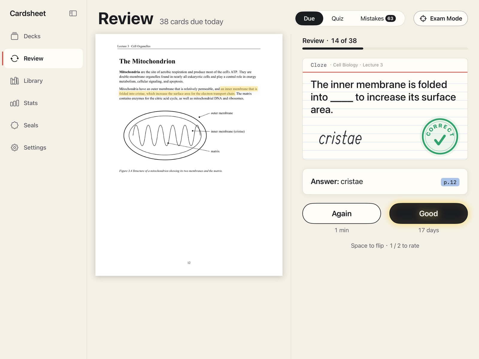 Cardsheet on iPad reviewing Cell Biology · Lecture 3: the lecture page on the left with the source sentence highlighted; on the right a fill-in card answered “cristae” in handwriting with a green Correct stamp